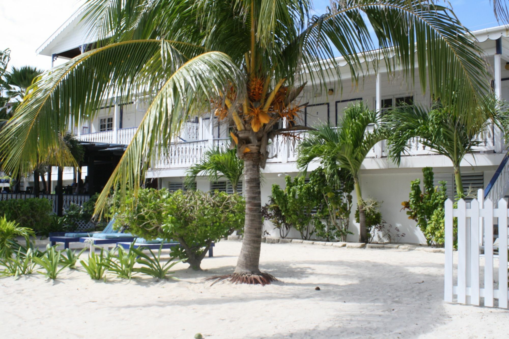 Holiday Hotel San Pedro  Buitenkant foto